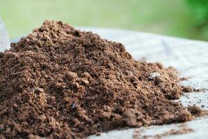 Peat moss, fertilizer soil for organic agriculture, plant growing, ecology concept. photo