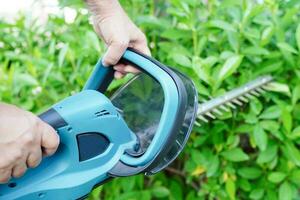 Gardener trimming bush by electric hedge clippers in garden. Hobby at home. photo