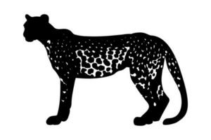 Leopard silhouette isolated on white background. Vector illustration