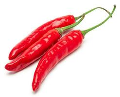 Red Chili Pepper Isolated. Realistic Red Chili Pepper on a White Background. photo