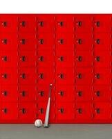 A baseball bat and a ball are placed in front of a red locker. photo