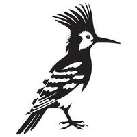 Eurasian hoopoe icon, Simple illustration of Eurasian hoopoe icon, bird glyph icon. vector