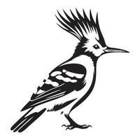 Eurasian hoopoe icon, Simple illustration of Eurasian hoopoe icon, bird glyph icon. vector