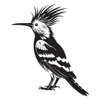 Eurasian hoopoe icon, Simple illustration of Eurasian hoopoe icon, bird glyph icon. vector