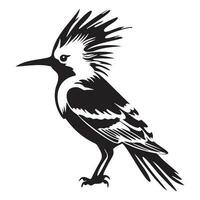 Eurasian hoopoe icon, Simple illustration of Eurasian hoopoe icon, bird glyph icon. vector