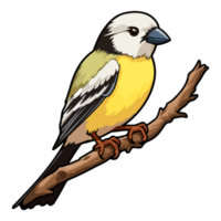 fluffy appearance American Goldfinch illustration in cartoon style png