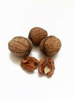 fresh walnuts on white background photo