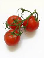 maduro Tomates en un rama en un blanco antecedentes foto