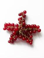 bunches of red currants in the form of a star on a white background photo