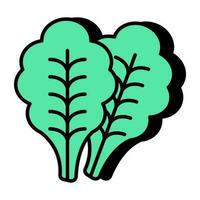 Trendy vector design of lettuce