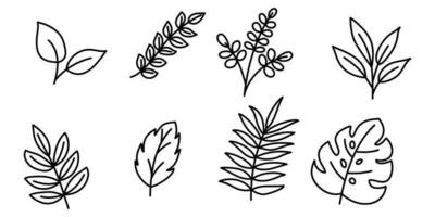 Set of Leaves icon outline.Hand drawn doodle tropical leaf isolated on white background. Vector illustration.