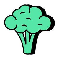 Trendy vector design of broccoli