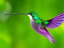 Humming bird green flying ai generated photo