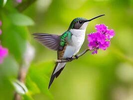 Humming bird green flying ai generated photo