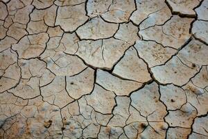 Dry cracked earth background. Global warming and climate change concept. photo