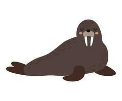 Cute walrus. Wild arctic animal. Vector illustration in flat style. White isolated background.