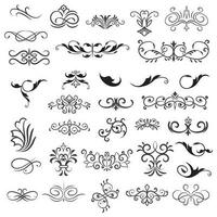 Vector illustration graphic elements for design, Swirl elements decorative illustration