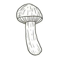 Vector isolated illustration of forest mushroom. Outline black and white doodle sticker.