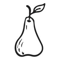 Vector isolated doodle illustration of pear fruit in outline style.