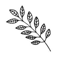 Vector isolated doodle illustration of twig with leaves in line art style.