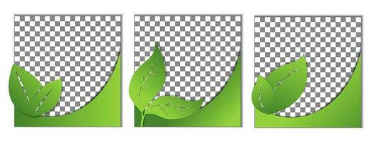 conjunto de sencillo pancartas con gratis espacio, disposición, Bosquejo, captura de movimiento, modelo para rebaja y publicidad con sitio para texto, Copiar espacio. diseño elementos símbolo de verde planeta, ecología, eco simpático vector