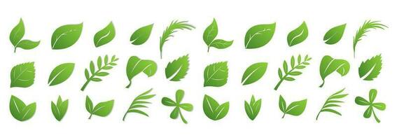 un conjunto de verde hojas en un blanco antecedentes con y sin un sombra, para logotipos, diseños, para el simbolismo de el verde planeta vector
