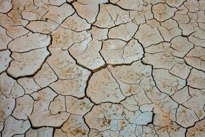 Dry cracked earth background. Global warming and climate change concept. photo