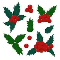 Holly plant set, red berries, leaves traditional winter holidays vector illustration, Christmas symbol, decor for end of the year celebrations and family gatherings, festive mood simple pattern