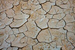 Dry cracked earth background. Global warming and climate change concept. photo