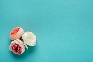 Blank postcard flowers on a blue background and copy space. View from above. photo