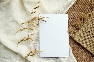 Fashionable stock stationery background - a white map and sprigs of wheat ears on a white table. Romantic background. Blank for an invitation card. photo