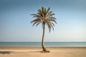 palma árbol en un vacío playa fotografía generativo ai foto