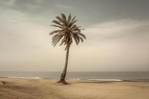 Palm tree on an empty beach photography generative ai photo