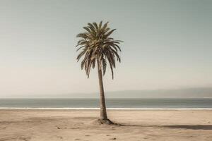 Palm tree on an empty beach photography generative ai photo