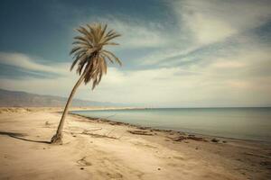 Palm tree on an empty beach photography generative ai photo