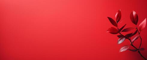 The Minimals - The Red Background - - photo