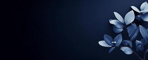 The Minimals - The Indigo Background - - photo