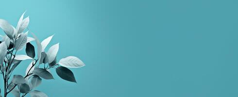 The Minimals - The Blue Background - - photo