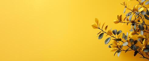 The Minimals - The Yellow Background - - photo