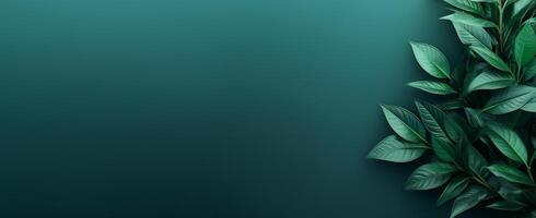 The Minimals - The Green Background - - photo