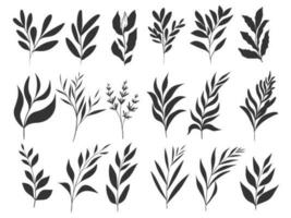 hand drawn floral herbs silhouette vector