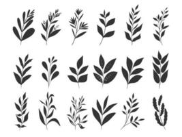 hand drawn floral herbs silhouette vector