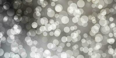 Light Gray vector background with spots.