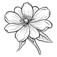 un flor con hojas y un blanco antecedentes vector