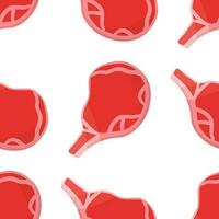 meat raw fresh red steak bone pattern vector