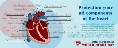 un medio y dentro imagen de humano corazón en papel cortar estilo con el nombre de Organo y fraseología de mundo corazón día, ejemplo textos en azul antecedentes. cartel Campaña de mundo corazón día en vector diseño