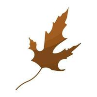 leaf foliage autumn colored forest element icon vector