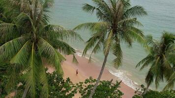 4K Aerial Footage of Aonang Beach in Ao Nang, Krabi video