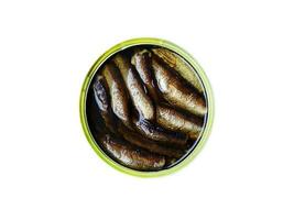 Canned fish with sprats in oil on a white background photo