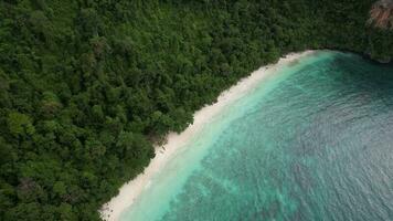 4K Aerial Footage of Monkey Beach on Koh Phi Phi Don, Krabi, Thailand - White Sand Beach, Crystal Clear Water, Limestone Cliff video